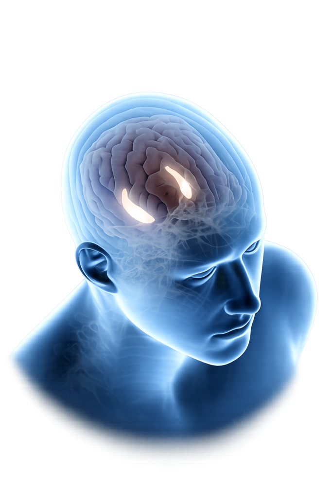 The Brain Song